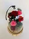 Forever Roses 3 σε κόκκινο & 2 σε ροζ σε γυάλινη καμπάνα 